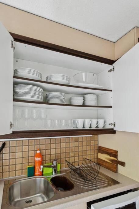 Spacious Apartment In The Heart Of Zurich Zltwg68 Eksteriør billede