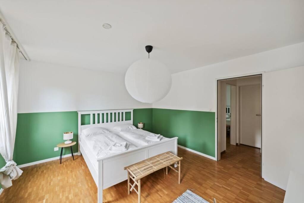 Spacious Apartment In The Heart Of Zurich Zltwg68 Eksteriør billede